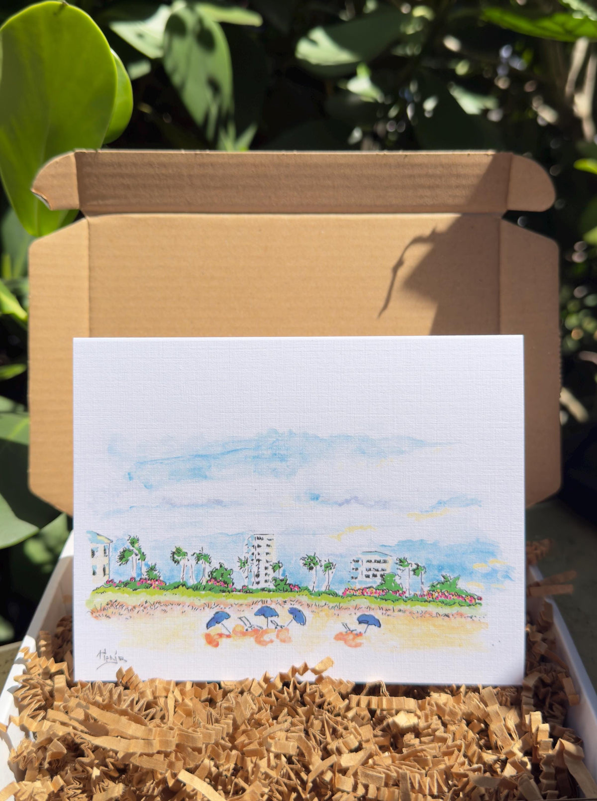 5 pack - E Atlantic Beachside