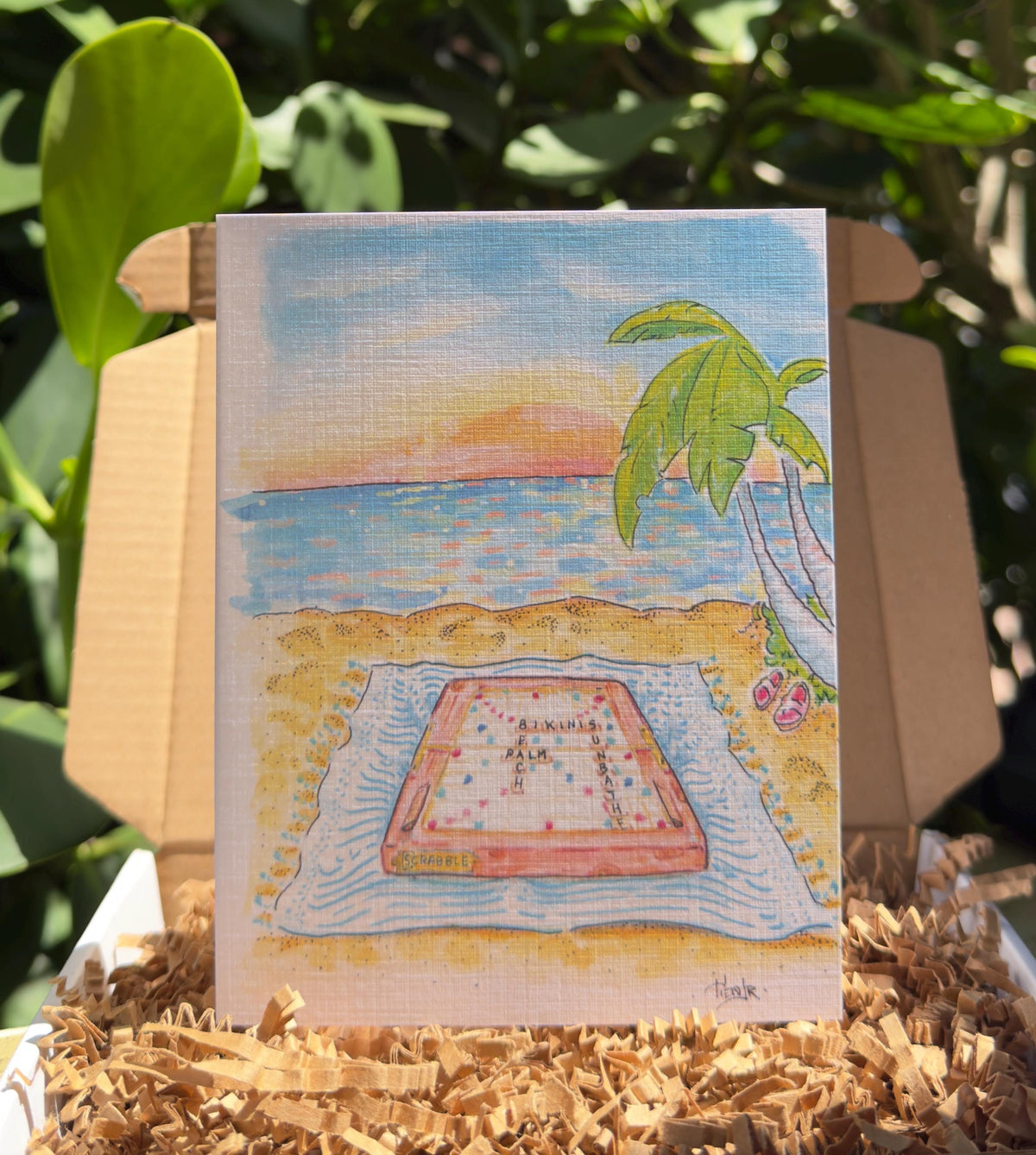 5 pack - Palm Beach N’ Bikinis